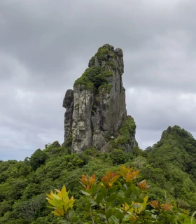 Randonner jusqu'au sommet du mont Te Rua Manga (The Needle)