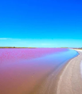 Pink Lake (Lake Retba)
