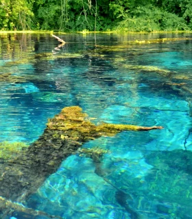 Blue Eye (Syri i Kalter)