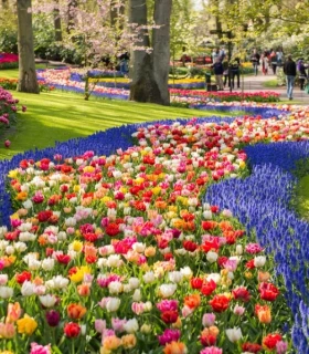 Excursion d'une journée à Keukenhof