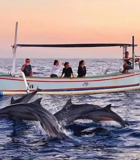 Excursion en bateau et observation des dauphins