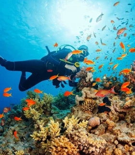 Faire de la Plongée