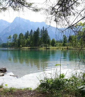 Faire une randonnée jusqu'au lac Almsee