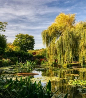 Flânez dans les jardins de Giverny