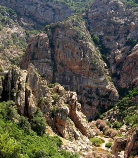 Forêt de Sette Fratelli