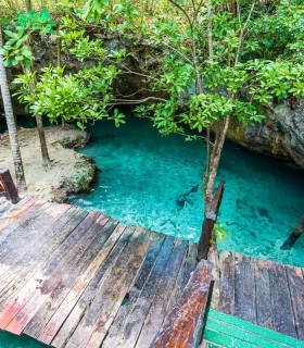 Cenotes (puits naturels)