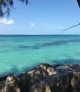 Île de Santa Carolina