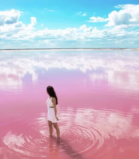 Las Coloradas & Rio Lagartos