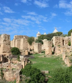 The archaeological site of Carthage