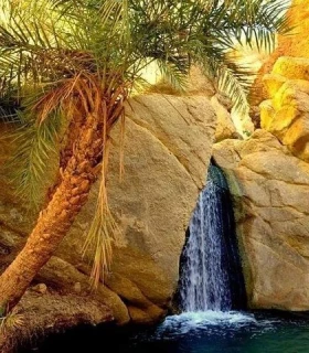 Les oasis de Chebika, Tamerza et Mides