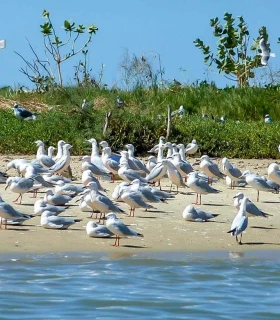 Parc national de la Langue de Barbarie