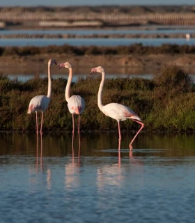 Parc naturel de ses Salines