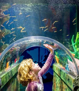 Sea Life Sydney Aquarium