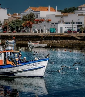 Tavira