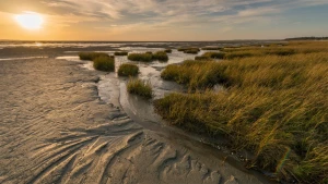 Bay of Somme