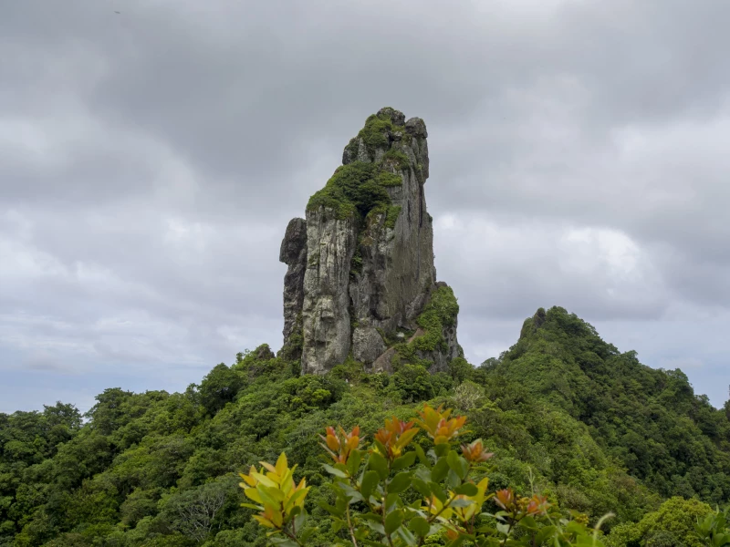 Hike to the top of Mount Te Rua Manga (The Needle)