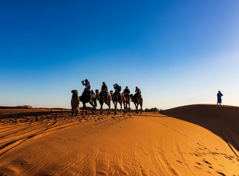Balade à dos de chameau, Marrakech, Maroc