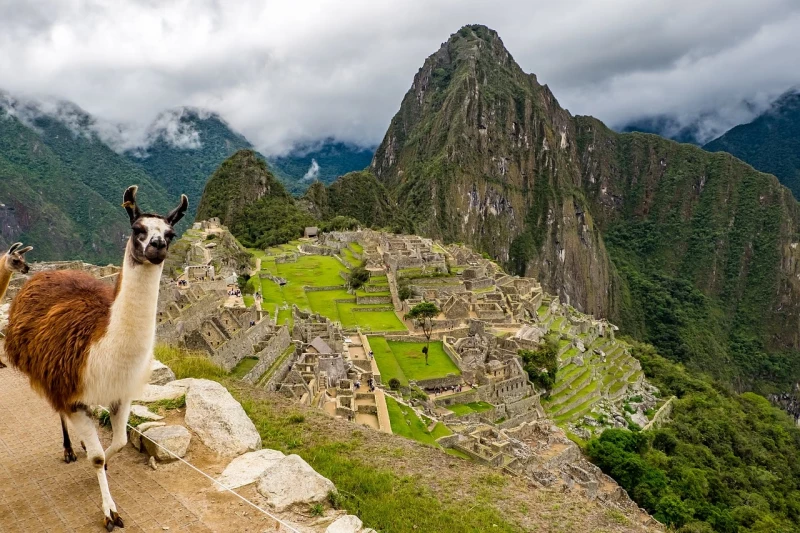 Discover the mythical site of Machu Picchu.