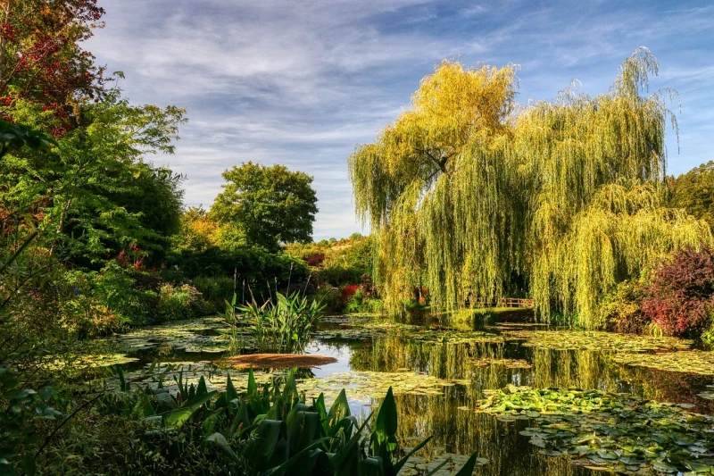 Stroll through the gardens of Giverny