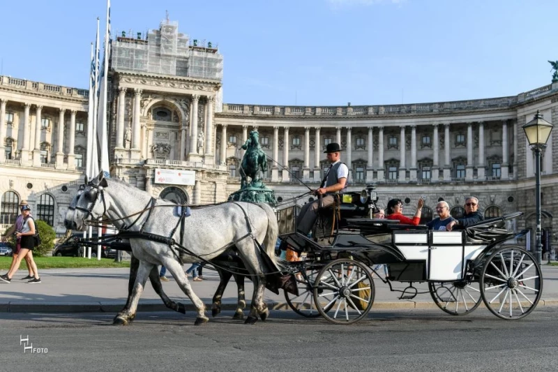 Take a carriage ride, Vienna, Austria