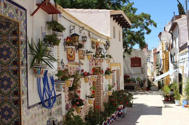 Stroll through the Santa Cruz neighborhood, Seville, Spain