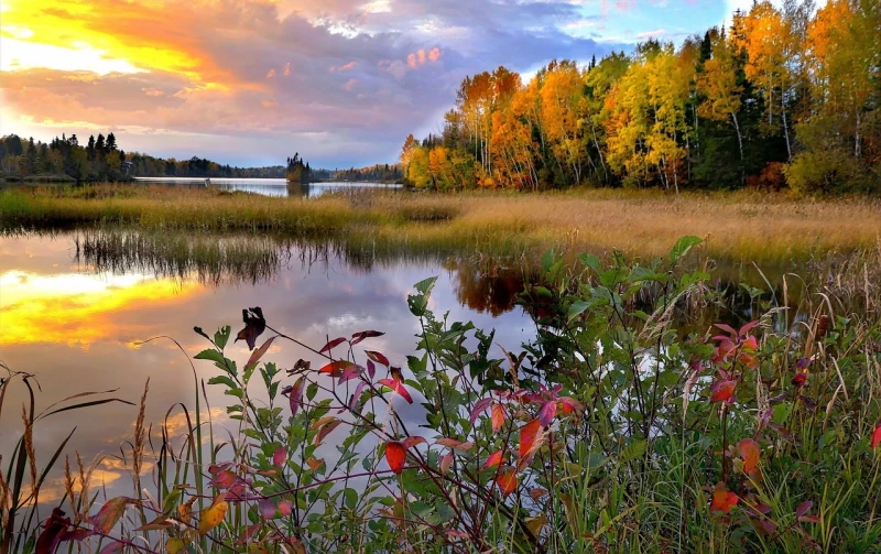 Lac Saint-Jean, Quebec, The most beautiful lakes in Canada, Canada