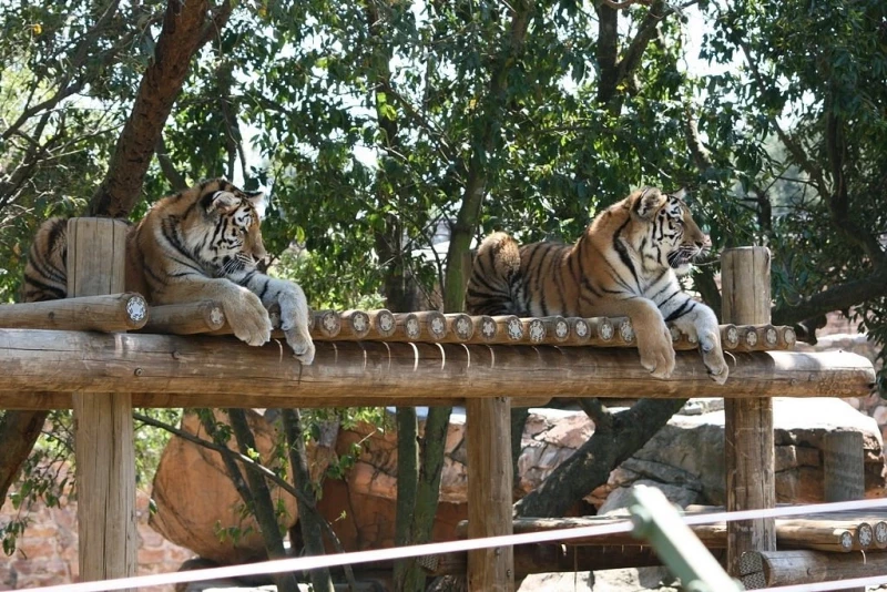 Le Zoo de Johannesburg, Johannesburg, Afrique du Sud