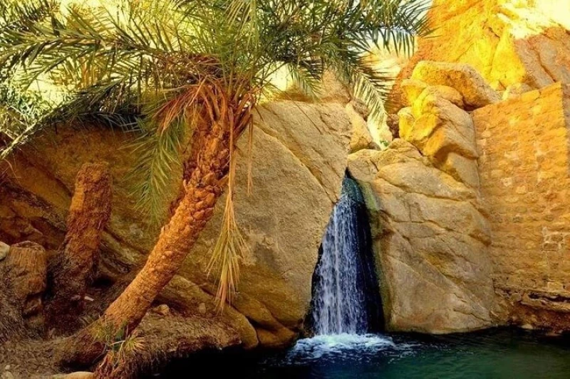 Les oasis de Chebika, Tamerza et Mides, Le sud de la Tunisie, Tunisie
