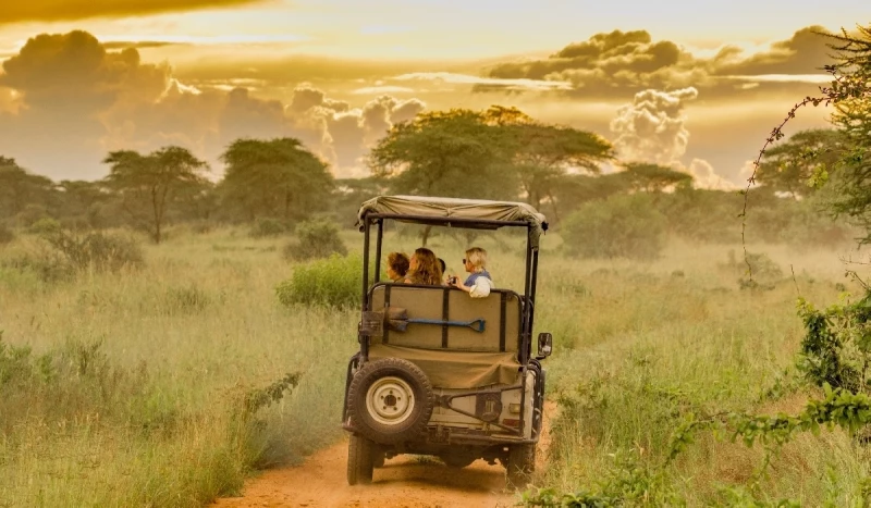Ruaha National Park, The best safari parks, Tanzania