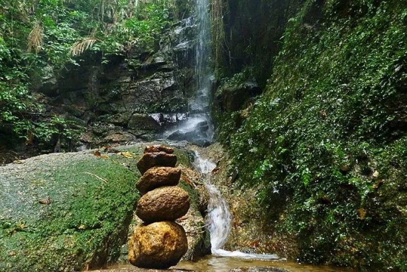 Randonnée dans la forêt de Tijuca, Rio de Janeiro, Brésil