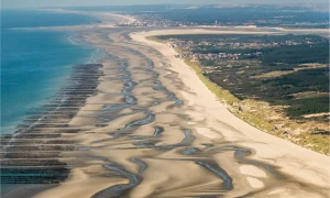 The dunes and marshes of the bay, Bay of Somme, France