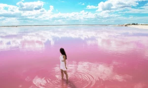 Las Coloradas & Rio Lagartos, Cancún, Mexique