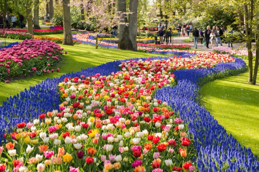 Day trip to Keukenhof