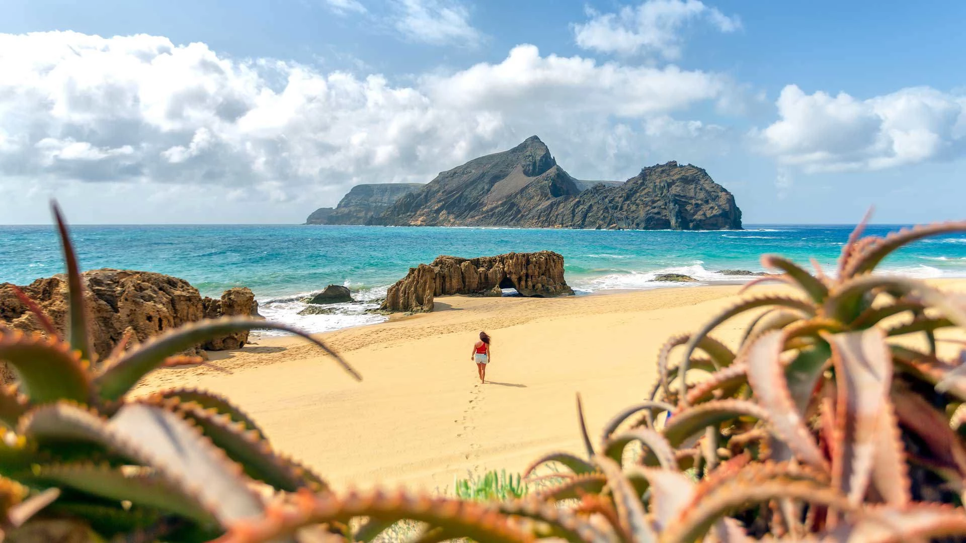 Excursions to Porto Santo