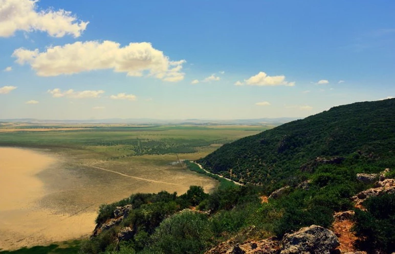 Le Parc National de l'Ichkeul
