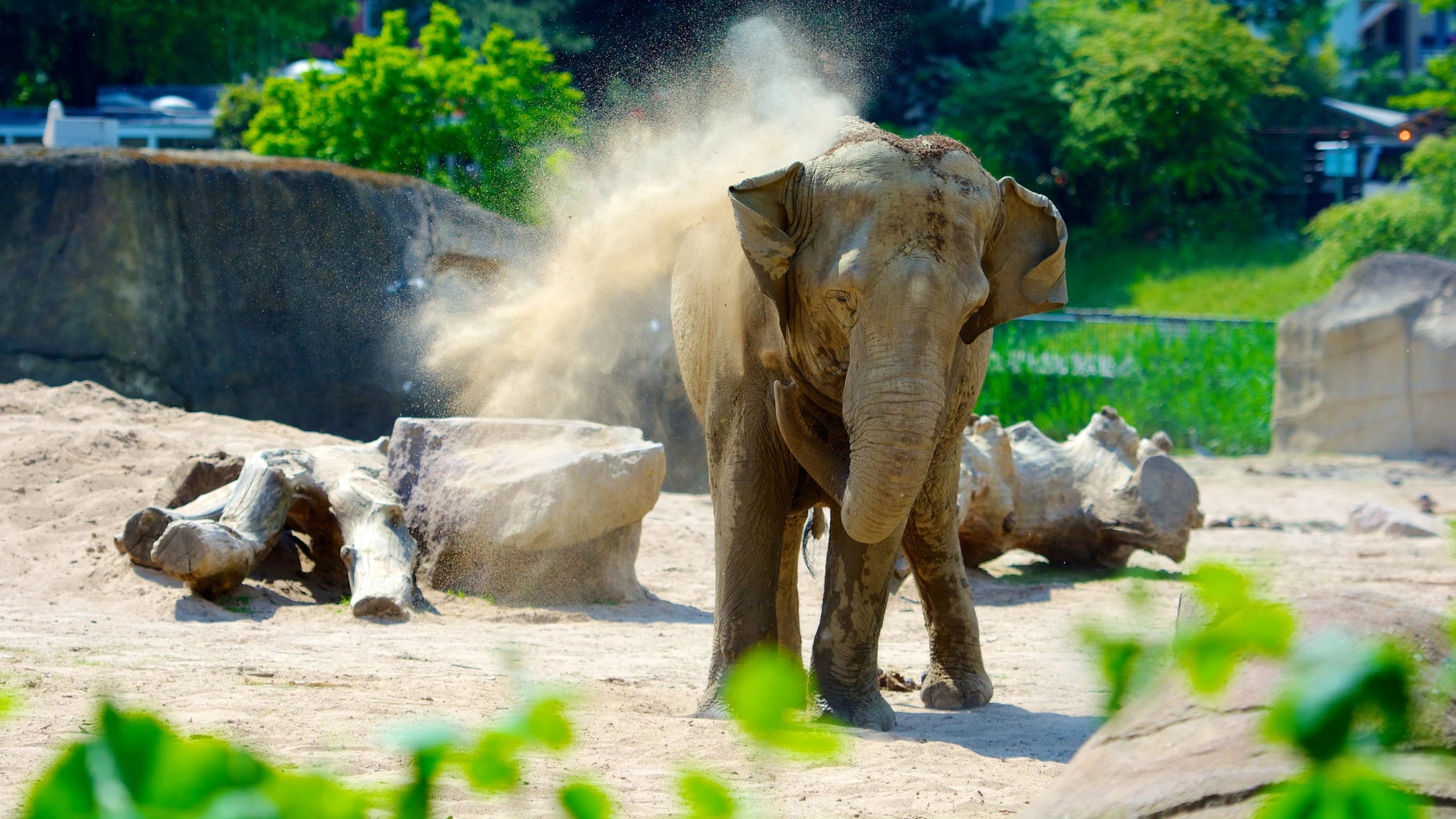 Cologne Zoo