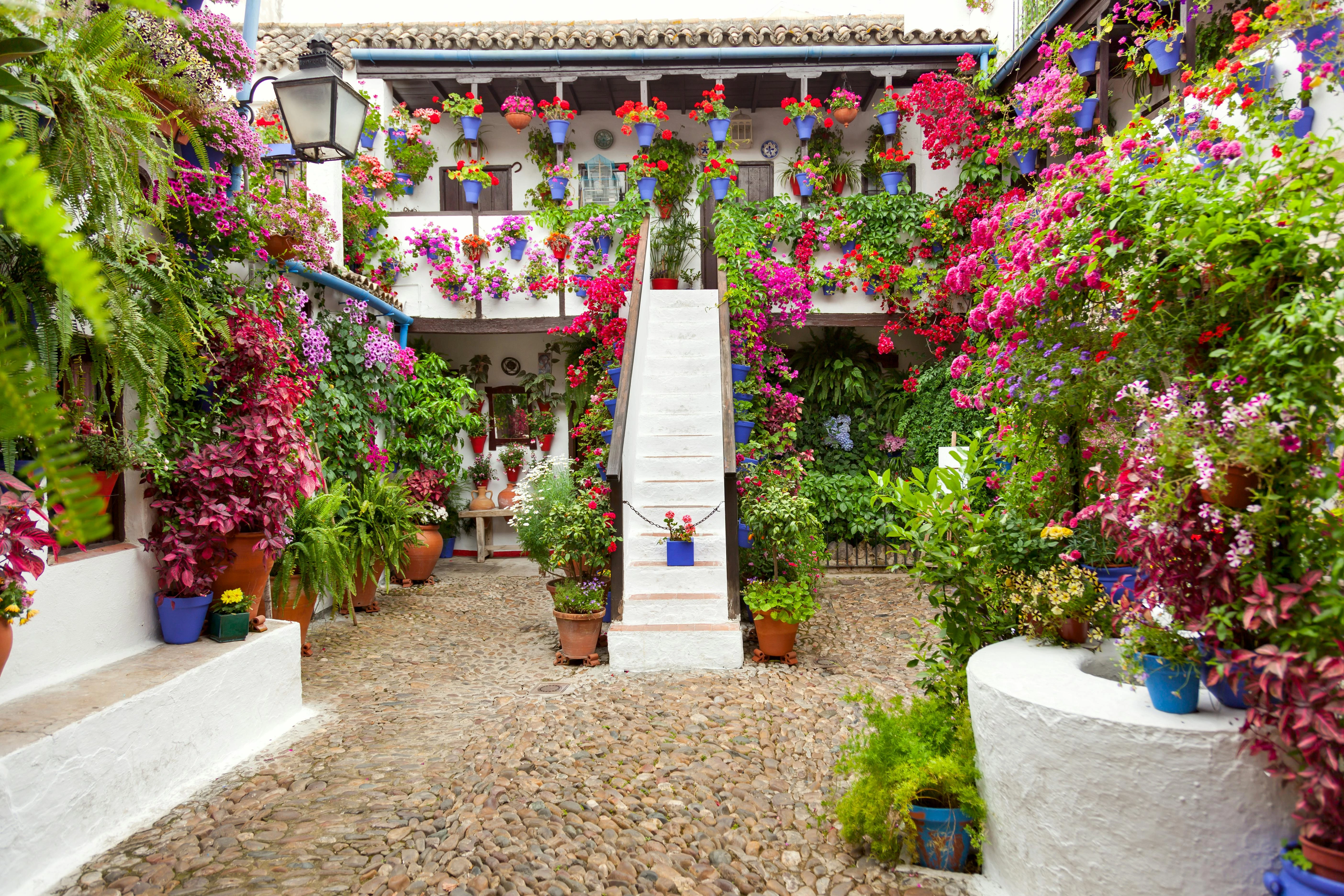 Les patios cordouans