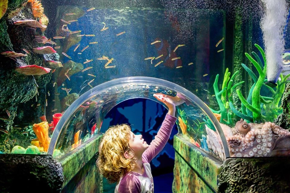 Sea Life Sydney Aquarium