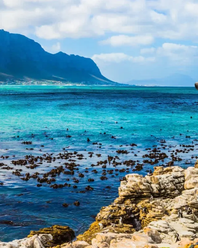 Afrique du Sud