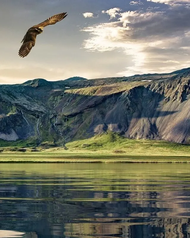 Nouvelle-Zélande