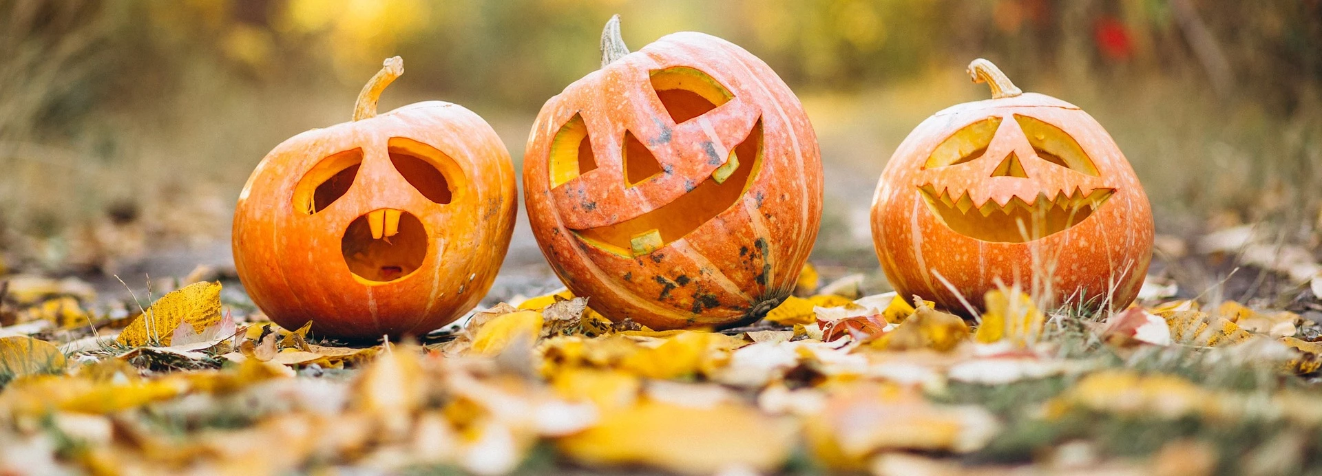 Les meilleures destinations de voyage pour Halloween pour des vacances effrayantes