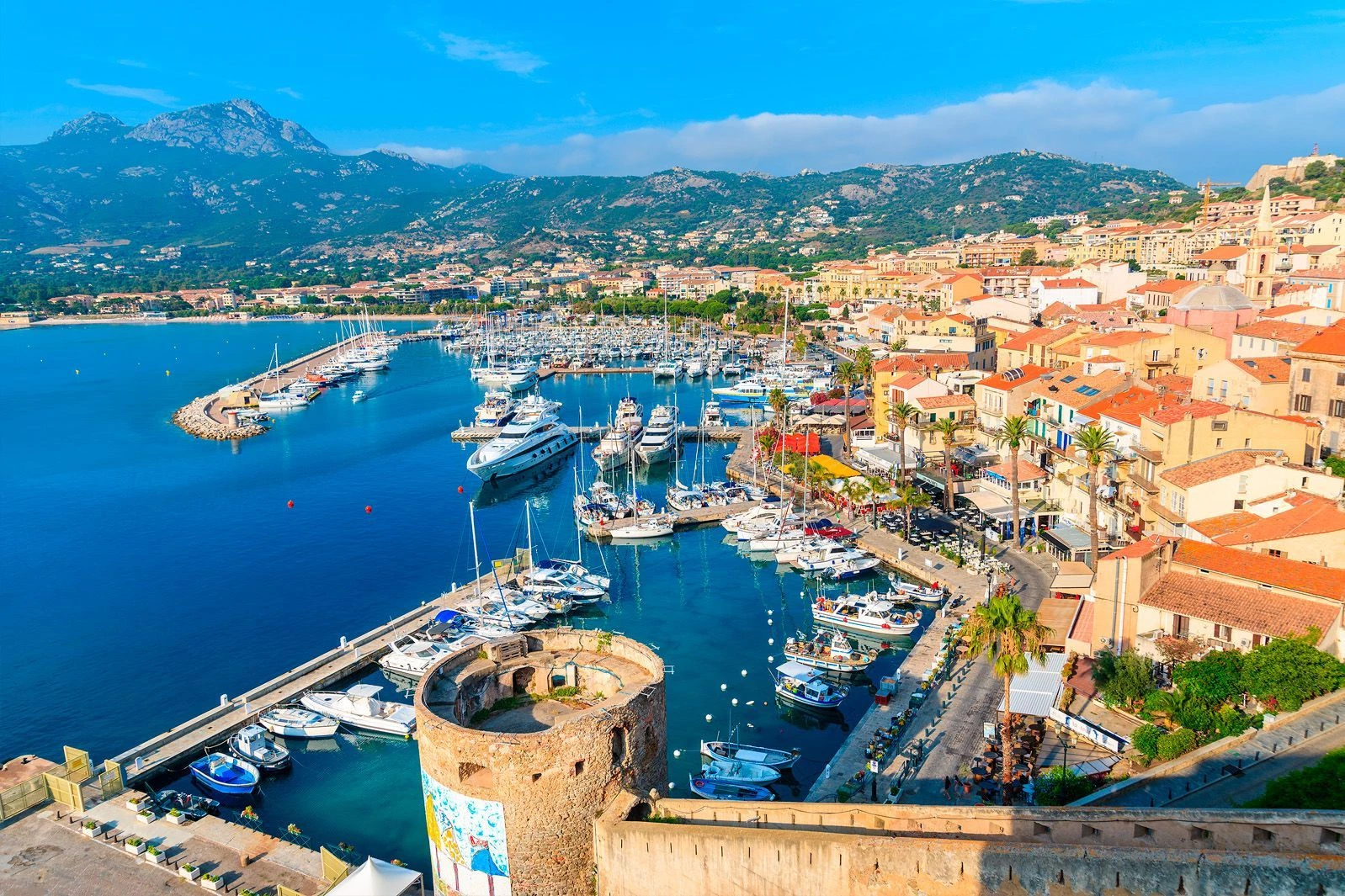 Calvi