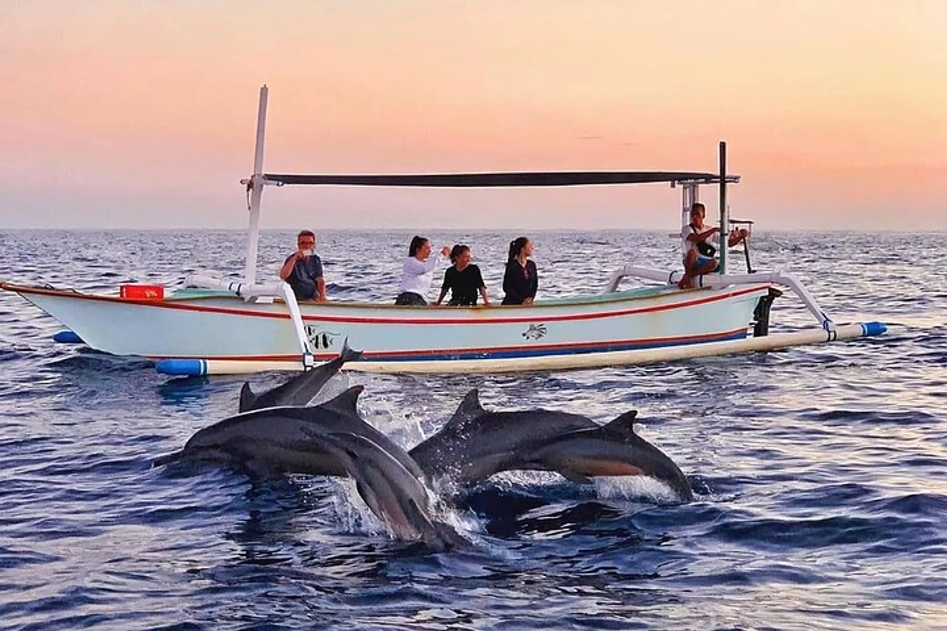 Excursion en bateau et observation des dauphins