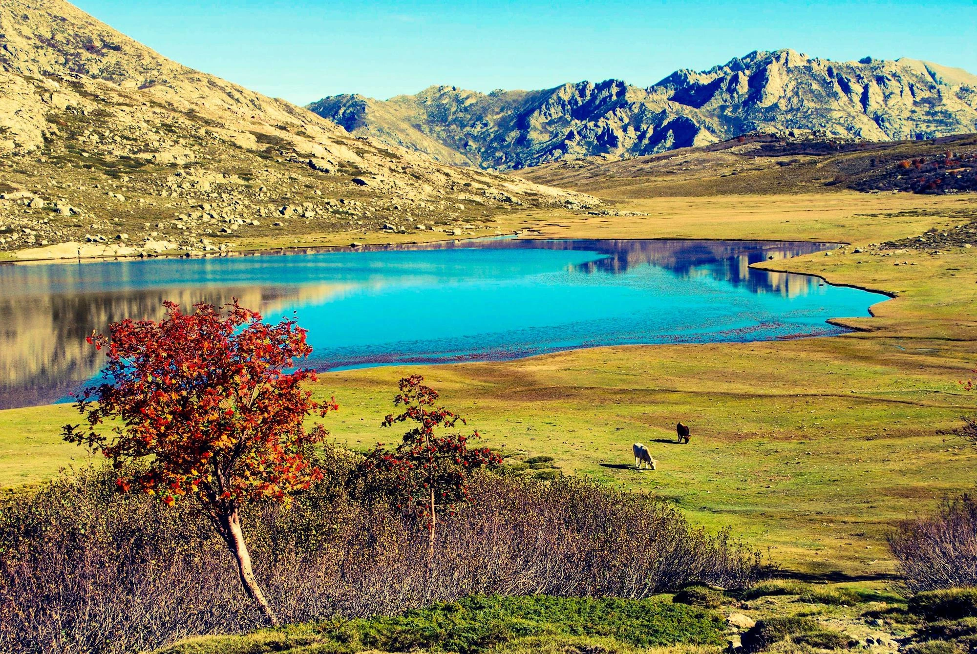 Les Lacs de Haute-Corse