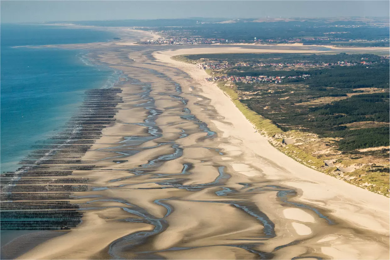 The dunes and marshes of the bay