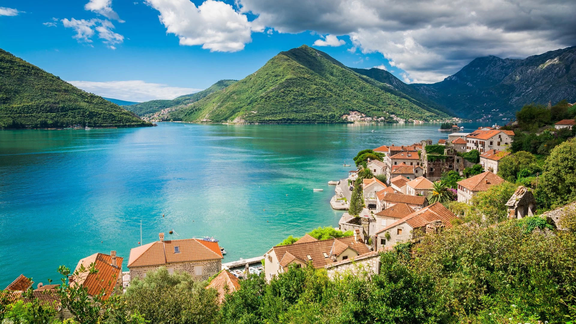 Kotor