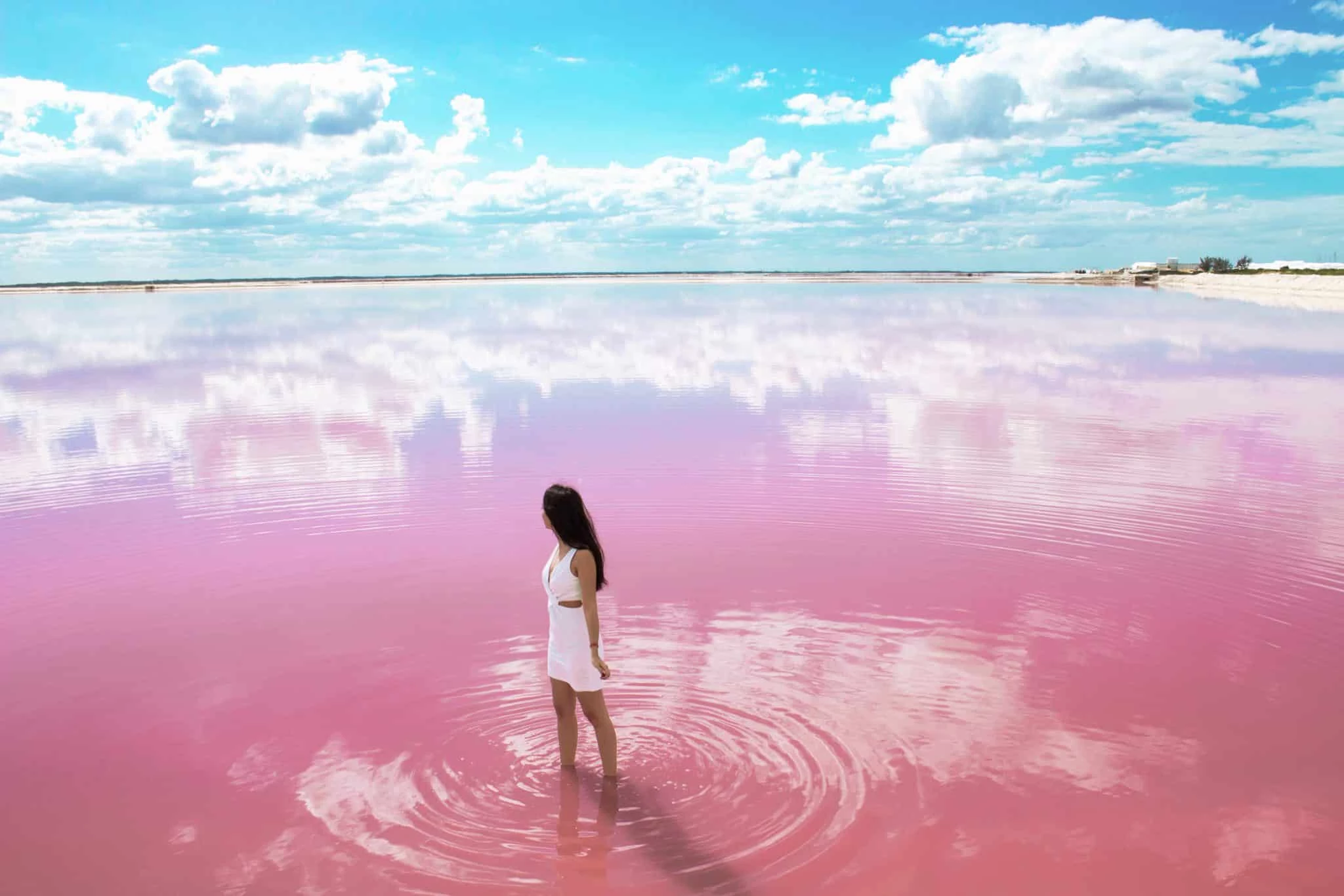 Las Coloradas & Rio Lagartos