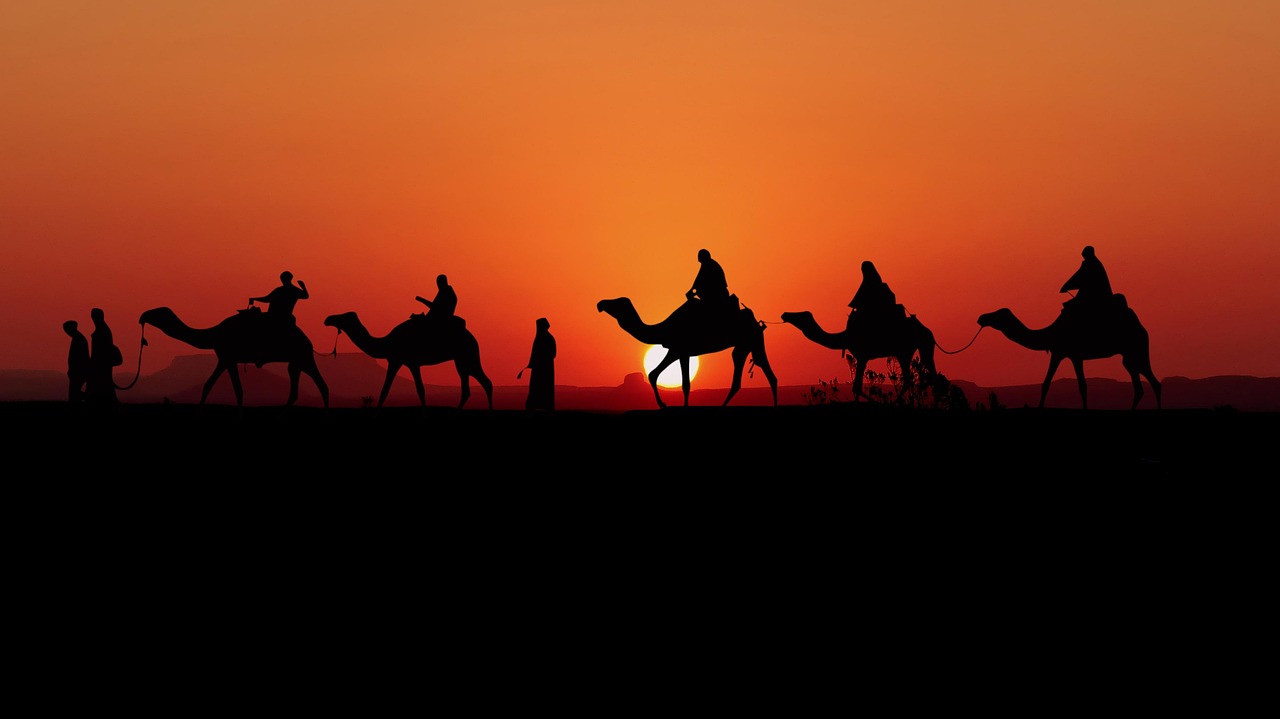 Camel ride and Saharan bivouac at Ksar Ghilane