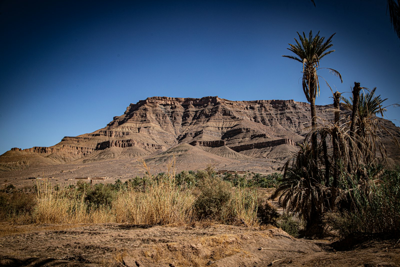 Mountain oases loop (Chebika–Mides–Tamerza)