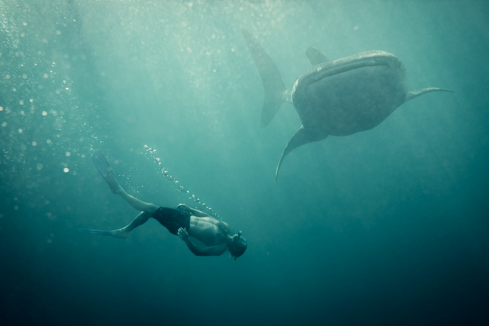 Nusa Penida snorkelling from Sanur